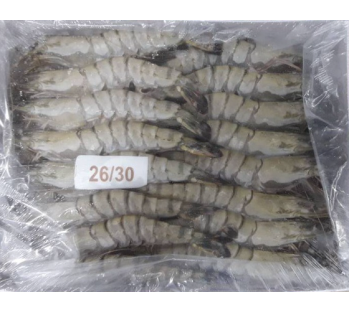 BT HOSO 26/30 老虎虾全壳26/30