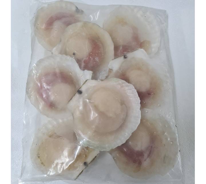 HS Scallop 扇贝 8/9
